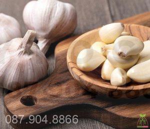 Công dụng của tỏi