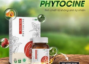 PHYTOCINE - Sản phẩm được tin dùng của những người bị Viêm họng