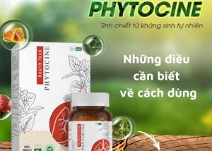 những điều cần biết về cách dùng PHYTOCINE