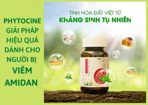Phytocine – Giải pháp an toàn và hiệu quả dành cho người bị viêm amidan