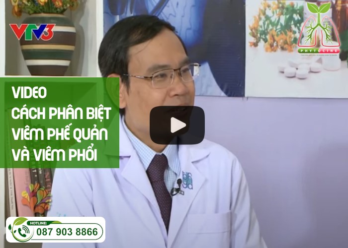 Video bác sĩ Nguyễn Như Vinh bệnh viện Đại học Y Dược TP.HCM nêu cách phân biệt viêm phổi và viêm phế quản - Phytocine